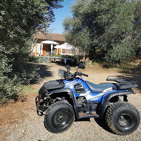 Agriturismo Cantagalli San Quirico dʼOrcia Екстериор снимка