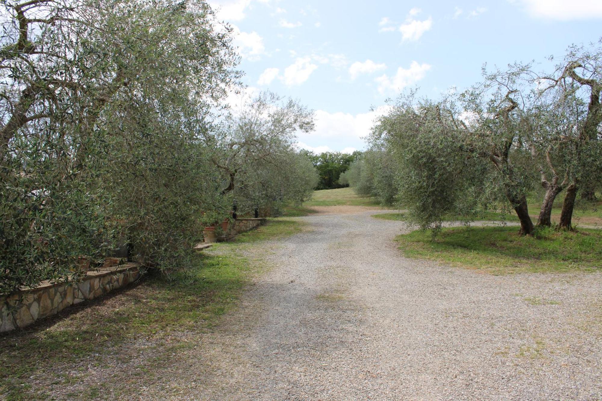 Agriturismo Cantagalli San Quirico dʼOrcia Екстериор снимка