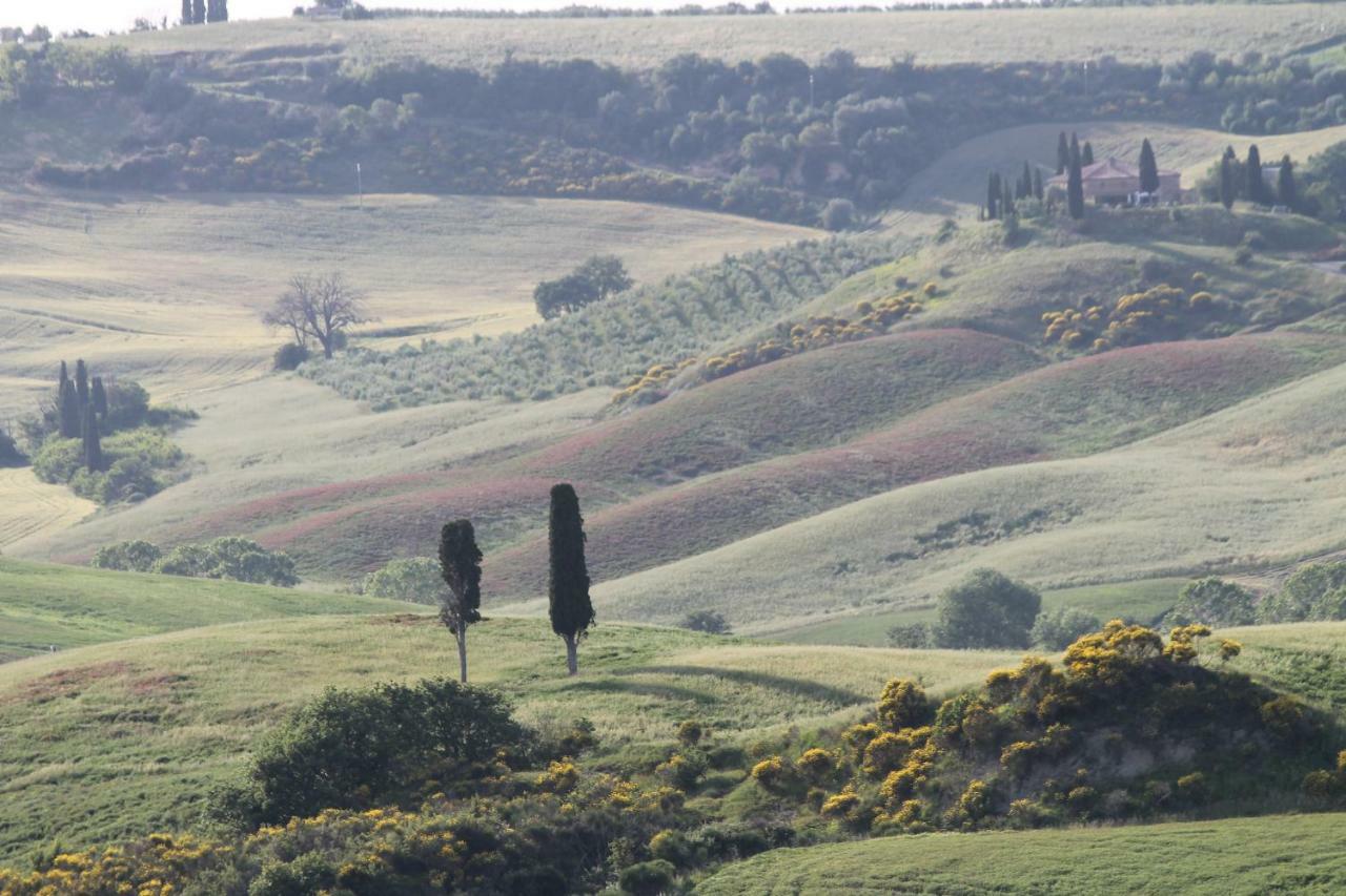 Agriturismo Cantagalli San Quirico dʼOrcia Екстериор снимка