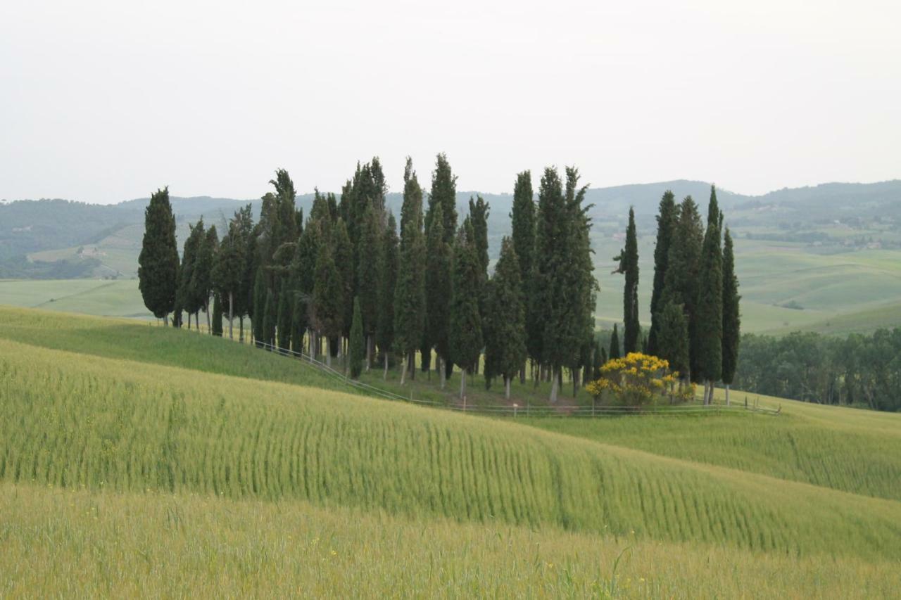Agriturismo Cantagalli San Quirico dʼOrcia Екстериор снимка